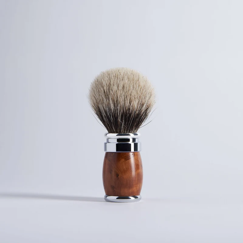 Blaireau Thuya Gris Européen