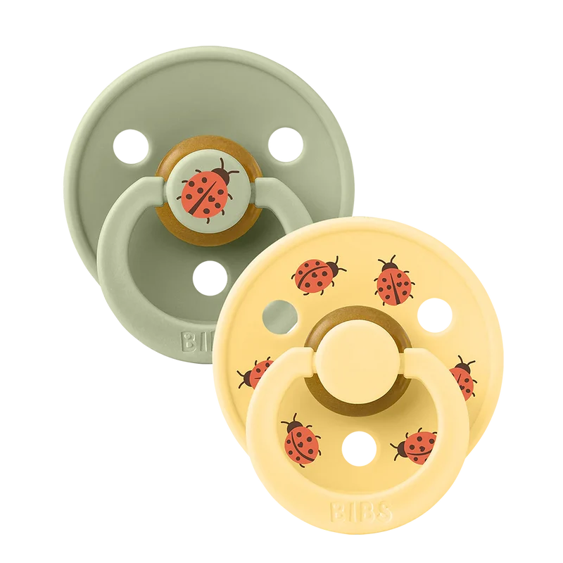 Bibs Round Natural Dummy Pacifier - Urban Garden - Ladybug Sage Mix