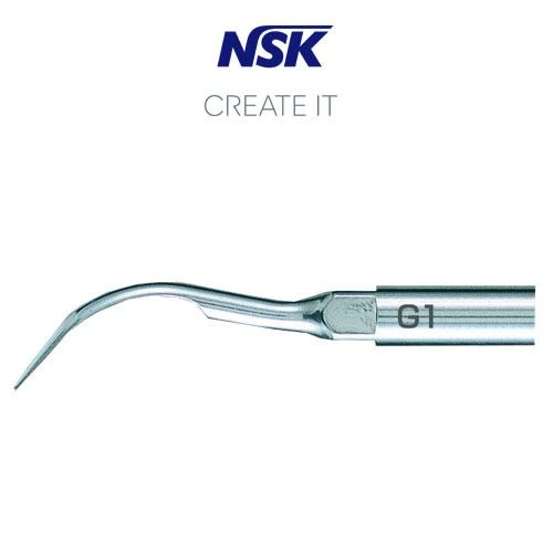 Inserto G1 NSK