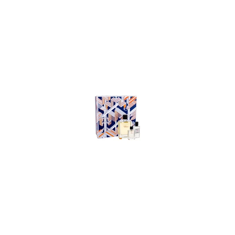 Hermès Terre D´Hermes 100 ml — Eau de Toilette