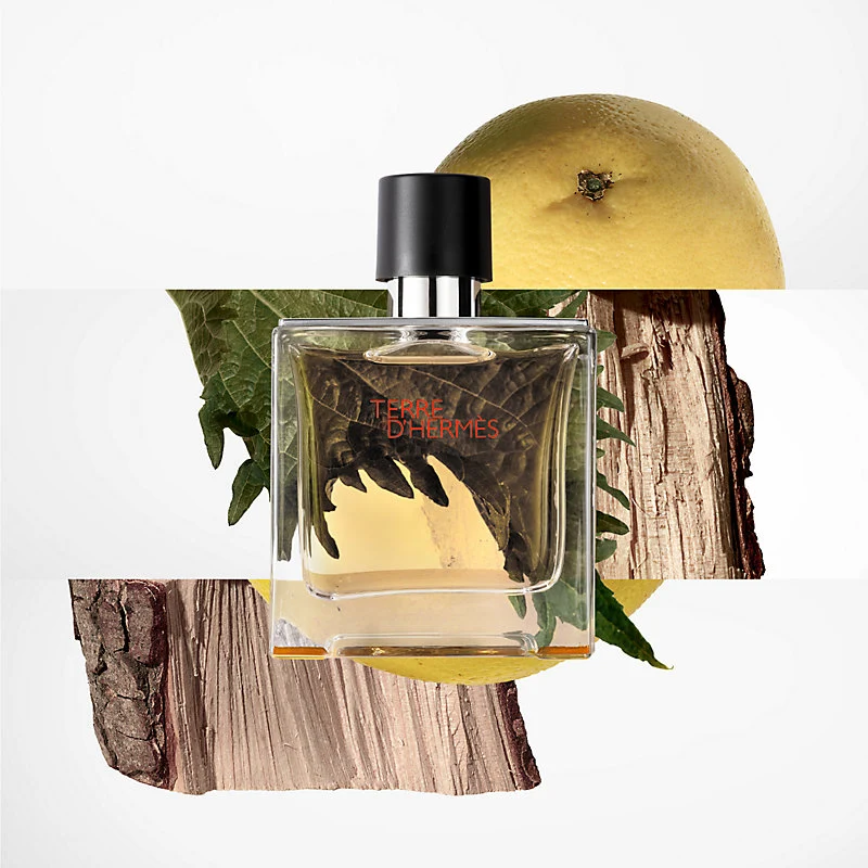 Hermès Terre D´Hermes 100 ml — Eau de Toilette