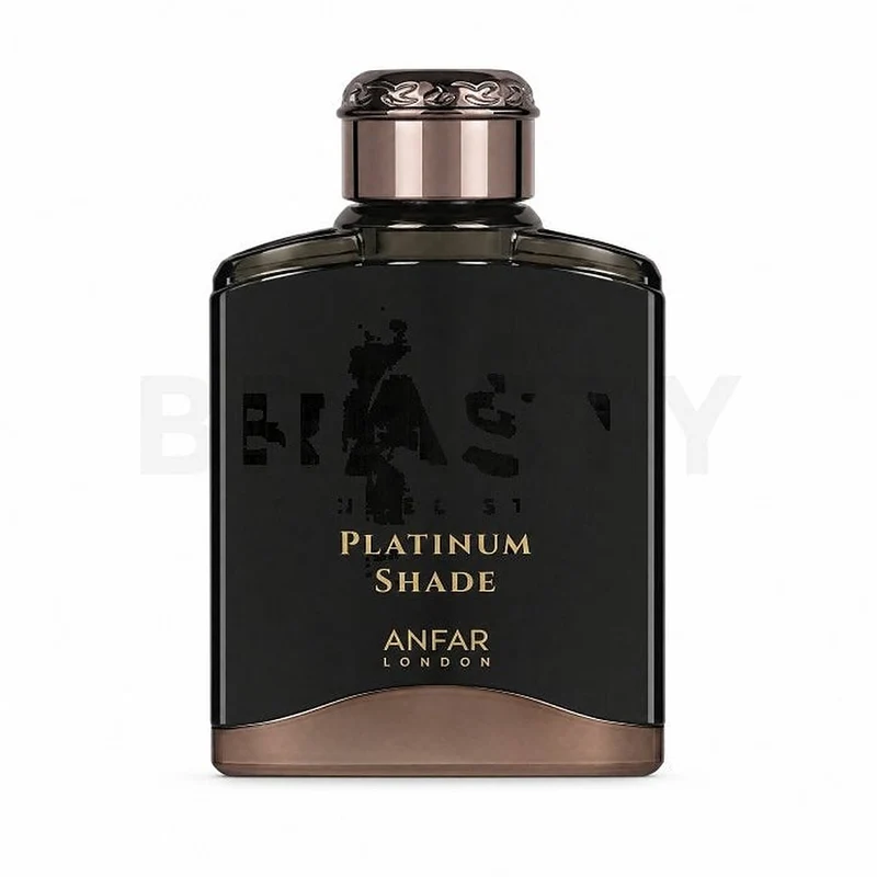 Anfar Platinum Shade Uomo 100 ml — Eau de Parfum