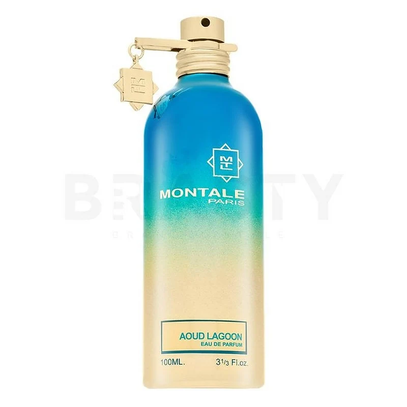 Montale Aoud Lagoon EDP Unisex 100 ml — Eau de Parfum